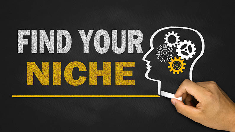 Identify Your Niche